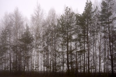 Сегодня в Татарстане ожидается до +13 градусов