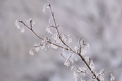 Сегодня в Татарстане температура составит до -11 градусов