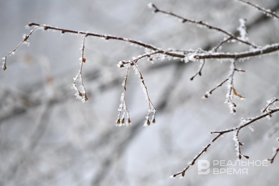 Сегодня в Татарстане ожидается до -14 градусов