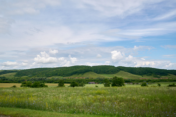 В 2025 году ущербы за вред природе превысили 5,3 млрд рублей