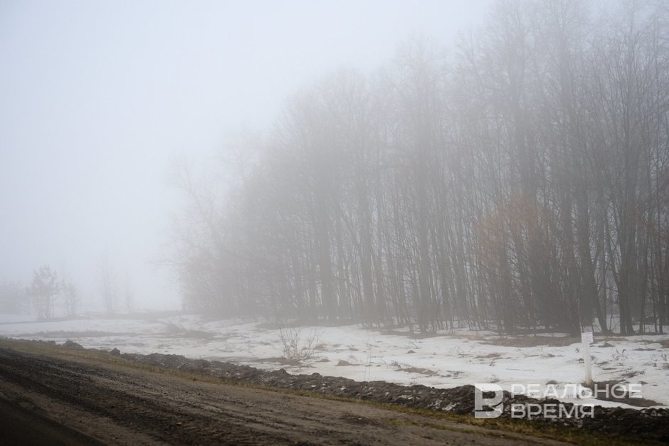 РСЧС предупредила о сильном ветре и тумане в Татарстане