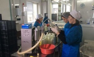 В Татарстане производство молока за 4 месяца 2018 года выросло на 2 процента