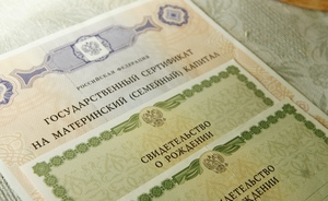 Минтруд предложил повысить выплаты из маткапитала до 25 тысяч рублей
