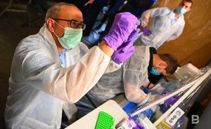 Эксперт: заразность оспы обезьян очень низкая