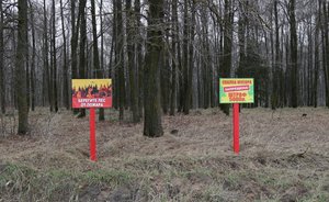 В соцсетях опубликовали видео лесного пожара в Татарстане