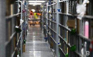 В Минпромторге заявили, что Россия не собирается национализировать иностранный бизнес