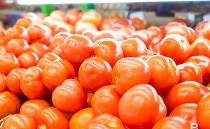 Россельхознадзор запретил ввоз помидоров из Турции, Армении и Узбекистана