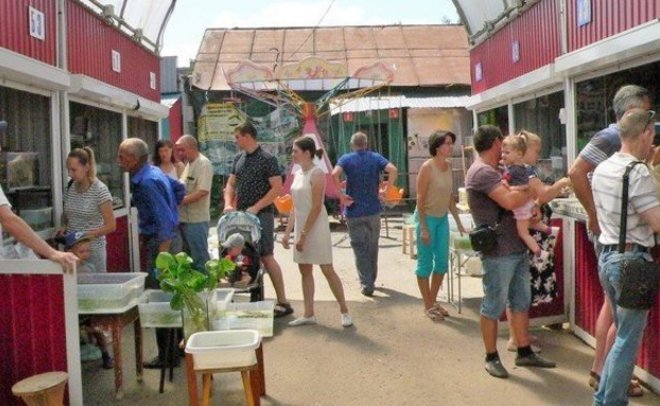 На месте Птичьего рынка в Авиастроительном районе будет торговый центр — появились эскизы