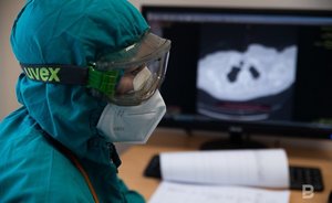 Главное о коронавирусе на 16 апреля: обновление иммунитета, «омикрон» может заражать домашних животных