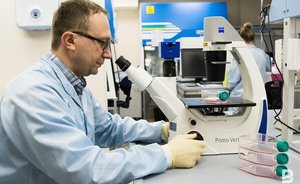 Число случаев заражения коронавирусом в мире превысило 2,5 млн