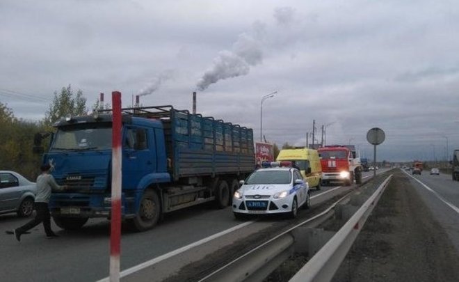 У владельца ГК «Транзитсити» изымут землю под строительство дороги Казань — Шемордан