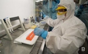 В Роспотребнадзоре заявили, что штамма «омикрон» в России нет