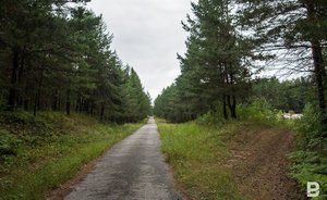 МЧС Татарстана объявило новое штормовое предупреждение из-за высокой пожароопасности лесов