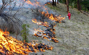 В Татарстане запрещено жечь траву и мусор, также планируется ввести особый противопожарный режим