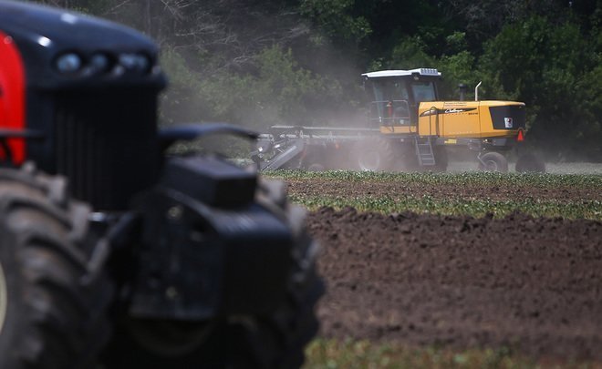 В России на развитие сельских территорий в 2019 году планируется направить более 25 млрд рублей