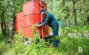 Кабмин разработает систему данных о лесных пожарах в стране