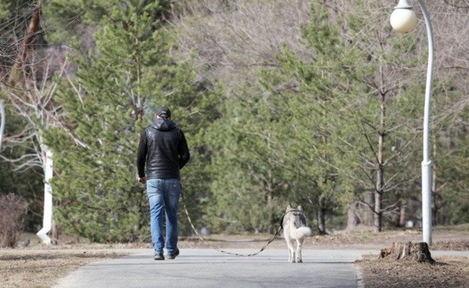 Около 200 тысяч татарстанцев приняли участие в голосовании по выбору объектов благоустройства в 2024 году