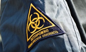 Вблизи границы Татарстана и Удмуртии зафиксировали первый случай африканской чумы свиней