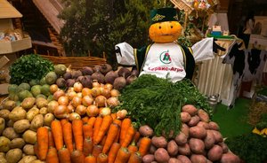 В 2021 году на сельхозярмарках реализовано продукции из Татарстана на 1,9 млрд рублей