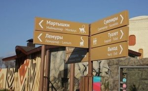 В казанском зоопарке появилась зебра