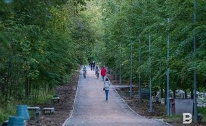 В Татарстане объявили штормовое предупреждение из-за гроз, порывистого ветра и града