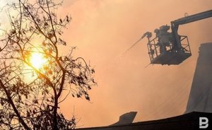 «Должен быть жесткий контроль»: раис Татарстана поручил усилить работу по предупреждению лесных пожаров