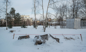 УФАС по РТ расторг госконтракт на вырубку деревьев в сквере возле КФУ