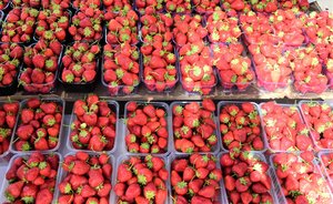 Половина татарстанской клубники поставляется в Москву