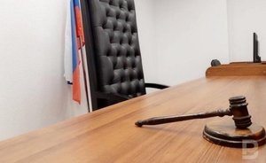 В Челнах владелицу собаки, разорвавшей девочке лицо, обязали оплатить лечение ребенка