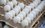 В Татарстане выросло производство яиц и молока
