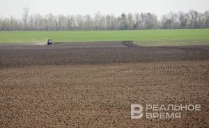 В Татарстане обмолочено 1 млн 80 тыс. га зерновых культур