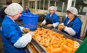 В Татарстане за неделю снизились цены на продукты «борщевого набора»