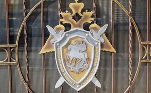 СМИ: на частном подворье под Казанью обнаружили останки новорожденного ребенка