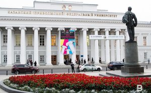 Профессор КФУ объяснил увеличение количества финансовых пирамид