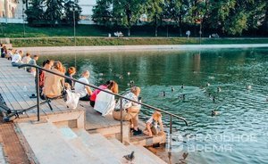 Провели летний отпуск в России почти половина жителей страны