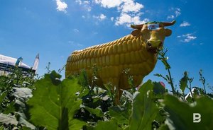 Татарстан сохранил четвертое место в РФ по производству сельхозпродукции