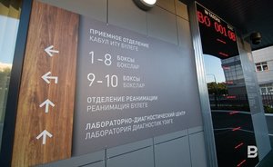 В Татарстане за сутки зарегистрировали 176 новых случаев заражения коронавирусом