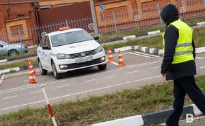 Исследование: в России стали реже получать водительские права
