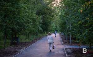 В воздухе Казани выявили повышенную концентрацию аммиака и формальдегида