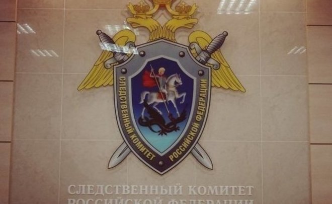 Грабителя, который отнял у бабушки продукты во время изоляции в Казани, не будут судить за ее смерть