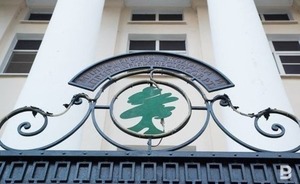 Экологи заявили об отсутствии загрязнения воздуха после пожара в Заинском районе Татарстана