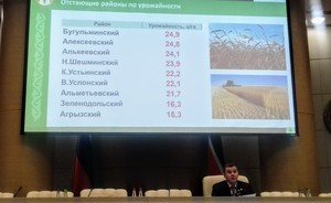В Татарстане собрали 4,3 млн тонн зерна