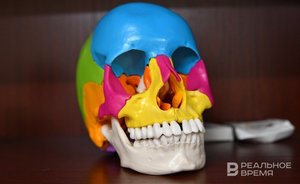 Эксперт объяснил, с какого возраста нужно водить ребенка к стоматологу