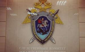 В Нижнекамске завершили расследование уголовного дела против нападавшего на женщин
