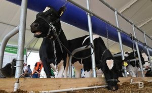 В Татарстане подвели итоги работы животноводов за 10 месяцев 2022 года