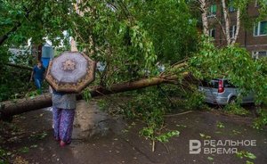 В Казани из-за урагана произошло 129 аварий на сетях электроснабжения, упали 165 деревьев и крупных веток