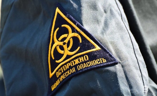 В татарстанских лесах начали дезинфицировать кормушки для животных