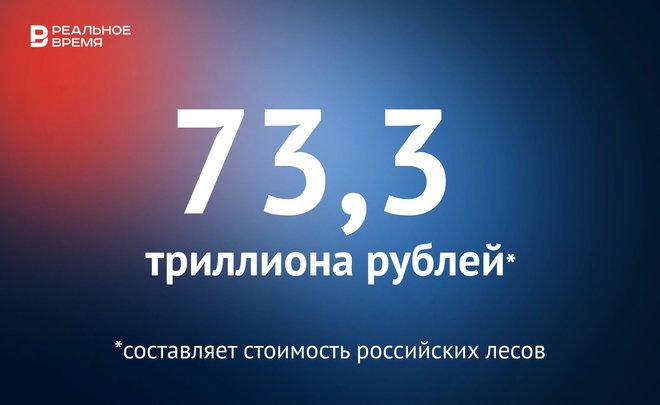 Стоимость российского леса оценили в 73,3 триллиона рублей — это много или мало?