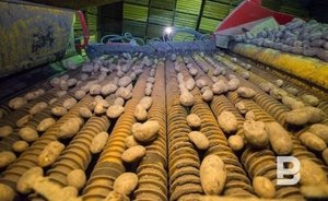 На зарплаты татарстанцев в 2021 году можно купить на треть меньше картошки, чем в 2020