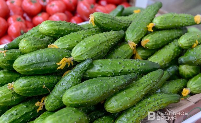 В Татарстане впервые с начала года подешевели огурцы